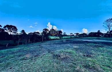 Imagem 16: Chácara a venda em Piraquara