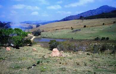 Imagem 6: FAZENDA Ã VENDA. 10m² de Área
