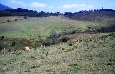 Imagem 7: FAZENDA Ã VENDA. 10m² de Área