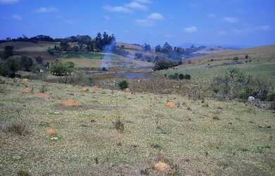 Imagem 12: FAZENDA Ã VENDA. 10m² de Área