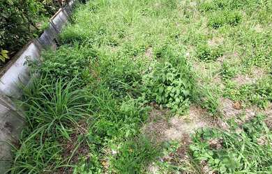 Imagem 4: TERRENO | CENTRO