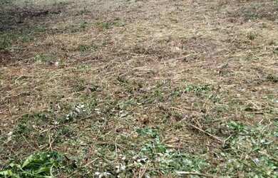 Imagem 5: TERRENO | CENTRO