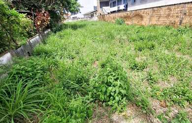 Imagem 2: TERRENO | CENTRO