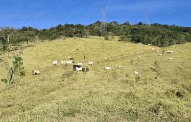 Imagem: A fazenda possui 2 Dormitórios, 1 Banheiro, 15 Vagas na garagem