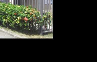 Imagem: Oportunidade Única em RIO DE JANEIRO - RJ Tipo Apartamento