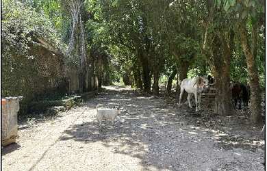 Imagem 2: Oportunidade Única em RIO DE JANEIRO - RJ Tipo Terreno Negociação Venda...