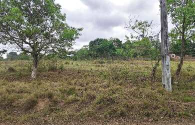 Imagem: O terreno possui 1 Dormitório, 1 Banheiro, 50m² de Área