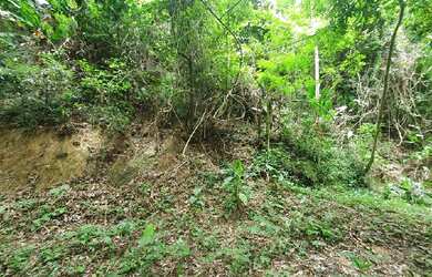 Imagem: O terreno possui 1 Dormitório, 1 Banheiro, 50m² de Área