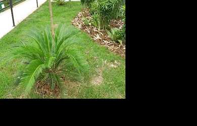 Imagem: O apartamento possui 2 Dormitórios, 1 Banheiro, 40m² de Área