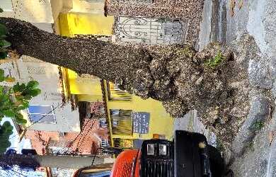 Imagem: A casa possui 2 Dormitórios, 1 Banheiro, 88m² de Área, 334m²