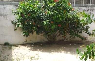 Imagem 1: Casa em Pau Amarelo. 10m² de Área Privada, 2 Banheirose3 Dormitórios