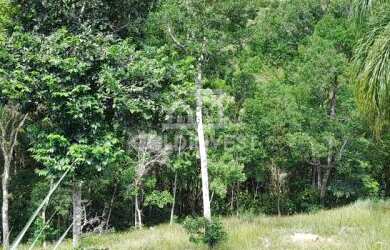 Imagem: O terreno possui Churrasqueira e está localizado em Canelinha