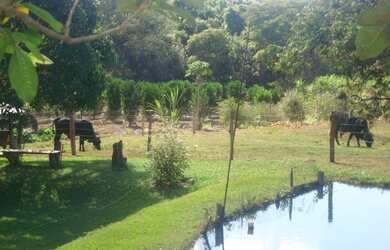 Imagem 1: SITIO RURAL em LUZIANIA - GO, AMERICANOS MANSÕES RECREIO ESTRELA DALVA...