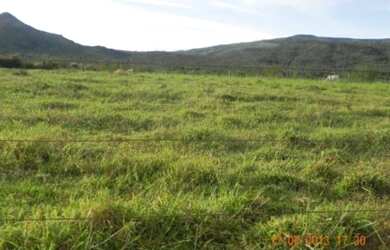 Imagem: A fazenda possui 10.000.000m² de Área Privada e está localizado