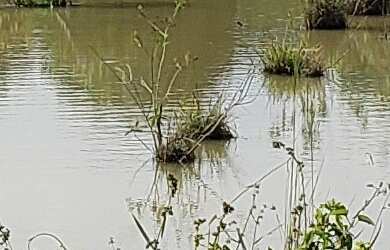 Imagem 3: CONDOMÍNIO FECHADO RIACHO DOCE NOVO GAMA-GO /RAFAEL 99857-1265