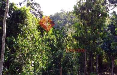 Imagem 2: Chácaras à venda em Governador Valadares - MG