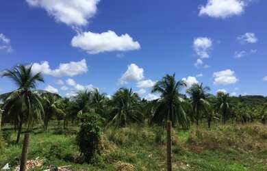 Imagem: O terreno possui 40.000m² de Área e está localizado em Catu