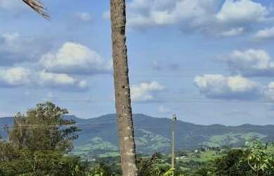 Imagem: A fazenda possui 3 Dormitórios, 1 Suíte, 4 Banheiros, 1 Vaga
