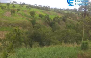 Imagem 9: Fazenda rica em água, com 25,50 alqueires em Presidente Olegário - MG