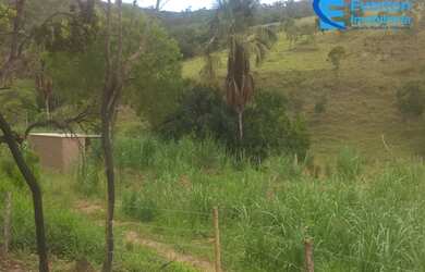 Imagem 10: Fazenda rica em água, com 25,50 alqueires em Presidente Olegário - MG