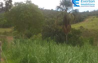 Imagem 7: Fazenda rica em água, com 25,50 alqueires em Presidente Olegário - MG