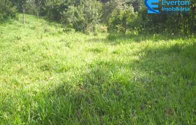 Imagem 6: Fazenda rica em água, com 25,50 alqueires em Presidente Olegário - MG