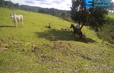Imagem 3: Fazenda rica em água, com 25,50 alqueires em Presidente Olegário - MG