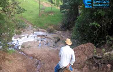 Imagem 16: Fazenda rica em água, com 25,50 alqueires em Presidente Olegário - MG