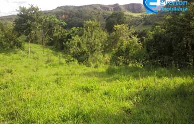 Imagem 5: Fazenda rica em água, com 25,50 alqueires em Presidente Olegário - MG