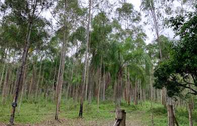 Imagem: A fazenda possui 77m² de Área e está localizado em Zona