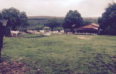 Imagem: A fazenda possui 3 Dormitórios, 1 Banheiro, 310m² de Área