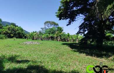 Imagem 6: CHACARA RURAL em CACHOEIRAS DE MACACU - RJ, CACHOEIRAS DE MACACU