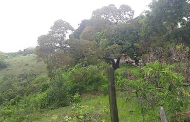 Imagem 4: TERRENO EM SIMÕES FILHO. 221.000m² de Área Privada