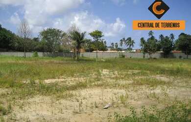 Imagem: O terreno possui 10000m² de Área Privada e está localizado