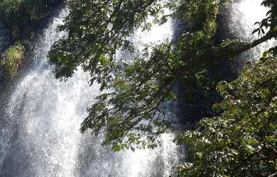 Imagem 15: Lote para venda na Represa de Furnas no Balneario Shangryla, ao lado de...
