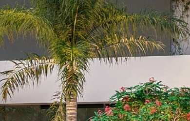 Imagem: O apartamento possui 3 Dormitórios, 1 Suíte, 3 Banheiros