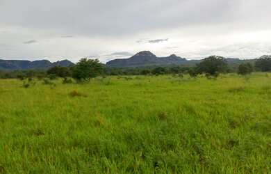 Imagem: A fazenda possui 1281m² de Área e está localizado em Area
