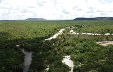 Imagem 3: Fazenda bruta para venda no Norte de Minas na região de Montalvania-MG...