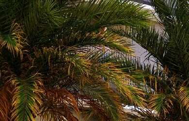 Imagem: O apartamento possui 2 Dormitórios, 1 Suíte, 2 Banheiros