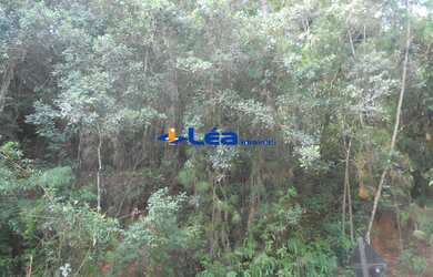 Imagem 4: AREA INDUSTRIAL em BIRITIBA MIRIM - SP, SITIO FAMILIA PRATES