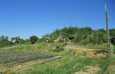 Imagem 2: AREA RURAL em ITAQUAQUECETUBA - SP, PARQUE RECANTO MONICA