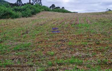 Imagem: A fazenda possui 1 Banheiro, 4 Vagas na garagem e está localizado