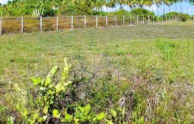 Imagem: O terreno possui 2.137m² de Área Privada e está localizado