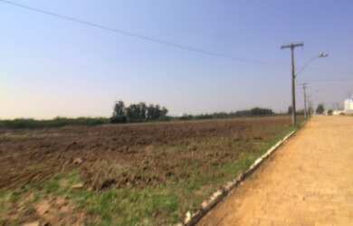 Imagem: O depósito possui 2.184m² de Área e está localizado em