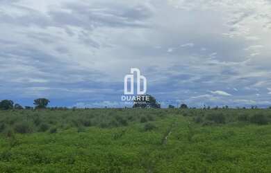 Imagem 13: Oportunidade única fazenda à venda em Formosa-GO, Setor Primavera 1...