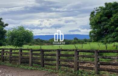 Imagem 9: Oportunidade única fazenda à venda em Formosa-GO, Setor Primavera 1...
