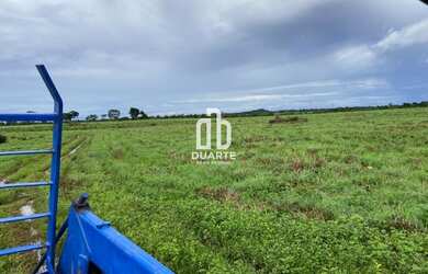 Imagem 5: Oportunidade única fazenda à venda em Formosa-GO, Setor Primavera 1...