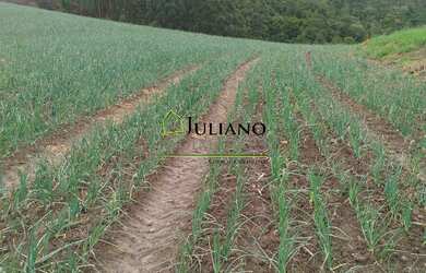 Imagem 7: TERRENO Á VENDA EM ANGELINA