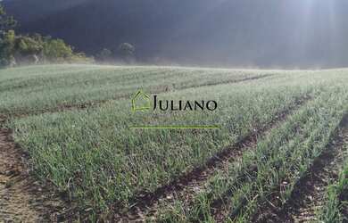 Imagem 9: TERRENO Á VENDA EM ANGELINA