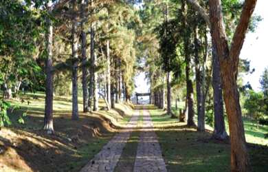 Imagem 14: MARAVILHOSA FAZENDA A VENDA EM CUNHA SÃO PAULO